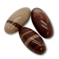 Narmada Shiva Lingam