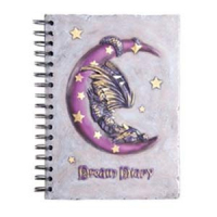 Tagebücher / Notizbücher