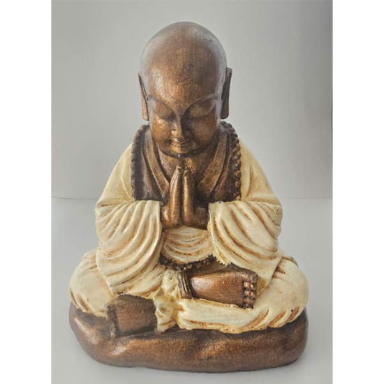 Buddha Meditation