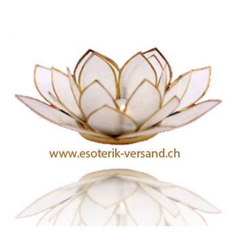 Lotus Kerzenhalter mit Goldrand, naturfarbig