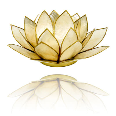 Lotus Atmosphere Licht  in beige
