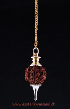 Rudraksha Pendel, goldfarbig