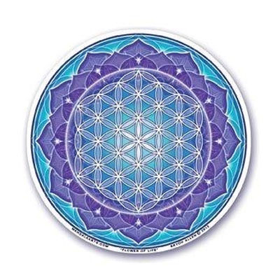 Fensterbild Flower of Life