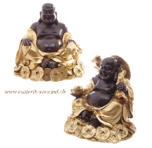Happy Buddha auf Münzen