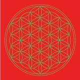 Leinwanddruck - Blume des Lebens, rot, Basischakra