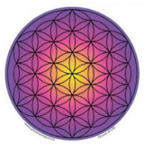 Blume des Lebens, violett - Fensterbild