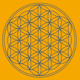 Leinwanddruck - Blume des Lebens, orange,Sakral Chakra