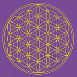 Leinwanddruck - Blume des Lebens, violett, Scheitel-Cha