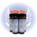 Engel der Stille - Engel Essenz