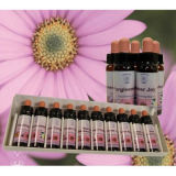 Emotion Essenzen SET - 10 x 10 ml