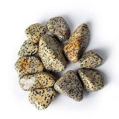 Dalmatiner Jaspis - Edelsteine, 3-8 cm, 500g