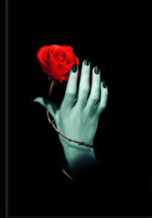 Notizbuch - Rose mit Hand