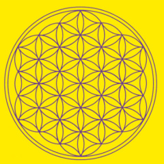 Leinwanddruck - Blume des Lebens, gelb, Solarplexus Cha