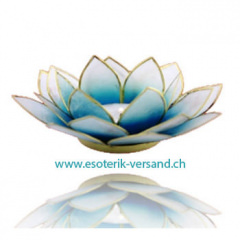 Lotus Capiz Teelichthalter, mit Goldrand blau weiss