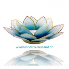 Lotus Capiz Teelichthalter, mit Goldrand blau weiss