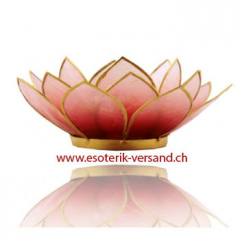 Lotus Capiz Tellichthalter, mit Goldrand hellrot