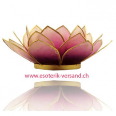 Lotus Capiz Teelichthalter, mit Goldrand violett