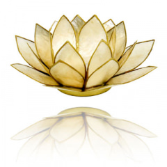 Lotus Atmosphere Licht  in beige