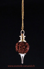 Rudraksha Pendel, goldfarbig