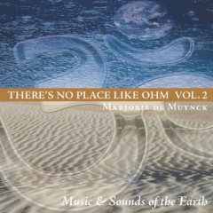 CD Theres No PLace Like Ohm Vol. 2